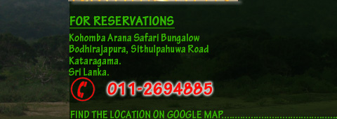 kataragama safari bungallow